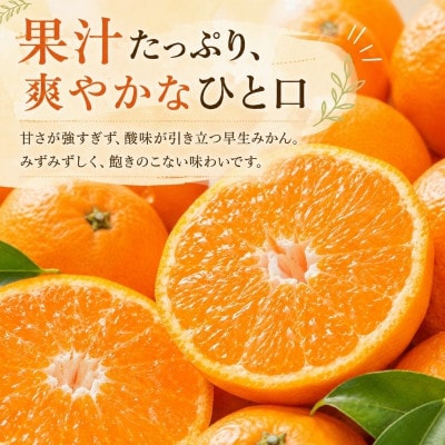 【2026年先行受付】静岡三ヶ日みかん 約8kg MまたはLサイズ【早生品種】