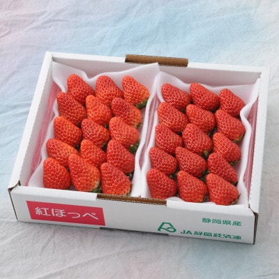 【2026年先行受付】静岡県産 紅ほっぺ 260g×2パック
