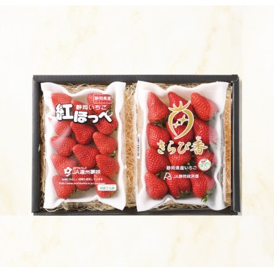 静岡いちご贅沢食べ比べセット「きらぴ香」「紅ほっぺ」 260g×各1パック