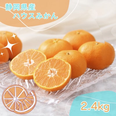 静岡県産ハウスみかん 2.4kg(20～26個)