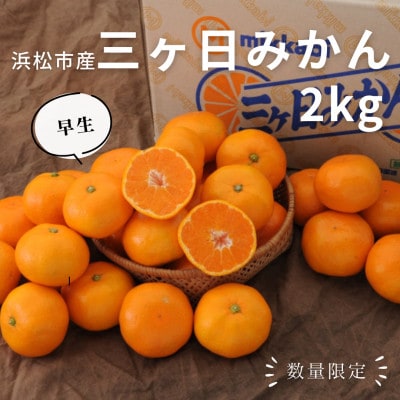 【2025年先行受付】静岡三ヶ日みかん 約2kg MまたはLサイズ【早生品種】