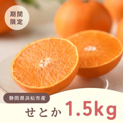 浜松市 せとか 1.5kg 柑橘