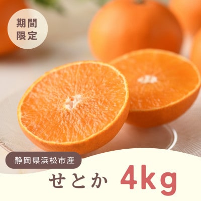 浜松市 せとか 4kg 柑橘