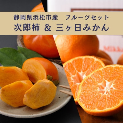 詰合せ 次郎柿と三ヶ日みかんセット(次郎柿 9～12個・三ヶ日みかんMかL 3kg)