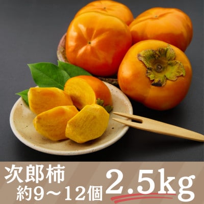 詰合せ 次郎柿と三ヶ日みかんセット(次郎柿 9～12個・三ヶ日みかんMかL 3kg)