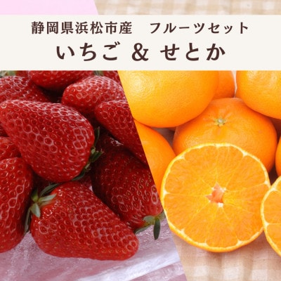 詰合せ いちごとせとかセット(紅ほっぺまたはきらぴ香 1パック・せとか 4個)