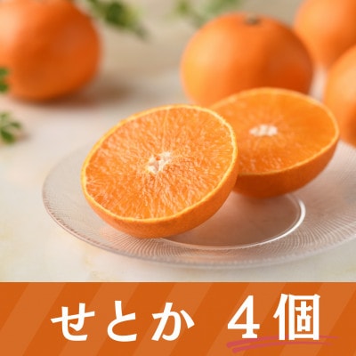 詰合せ いちごとせとかセット(紅ほっぺまたはきらぴ香 1パック・せとか 4個)