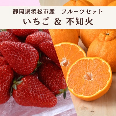 詰合せ いちごと不知火セット(紅ほっぺまたはきらぴ香 1パック・ 不知火 4個)
