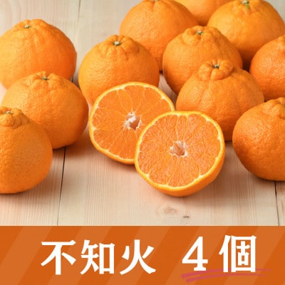 詰合せ いちごと不知火セット(紅ほっぺまたはきらぴ香 1パック・ 不知火 4個)