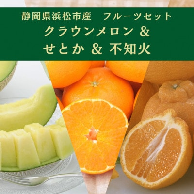 詰合せ クラウンメロンとせとかと不知火(メロン 1個・せとか 4個・不知火 4個)