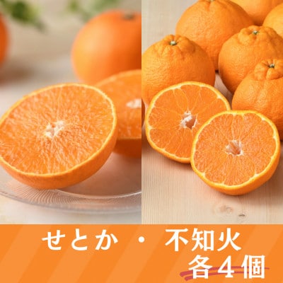 詰合せ クラウンメロンとせとかと不知火(メロン 1個・せとか 4個・不知火 4個)