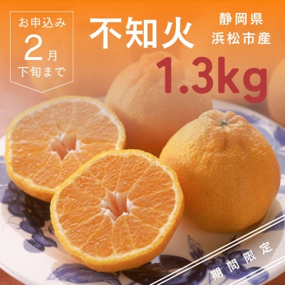 浜松市 不知火(柑橘)1.3kg