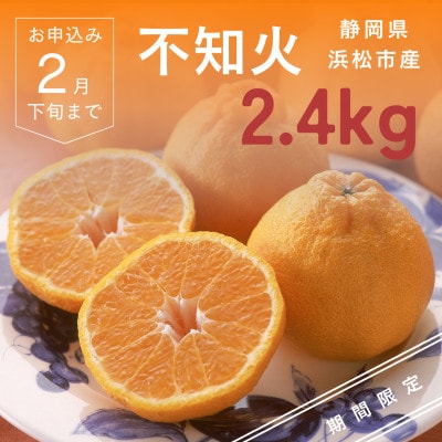 浜松市 不知火(柑橘)2.4kg