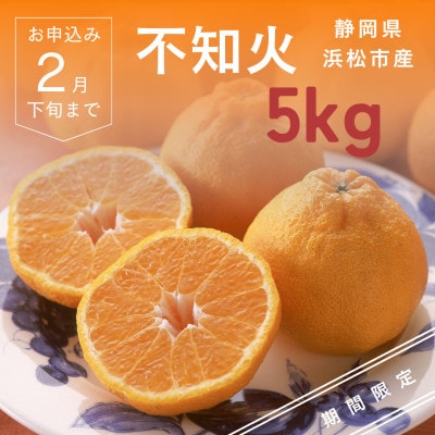 浜松市 不知火(柑橘)5kg