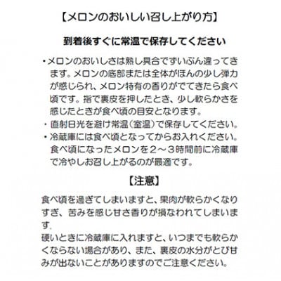 静岡クラウンメロン(白等級)約1.3kg×3個
