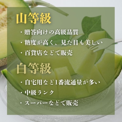 期間限定 2026年5月～6月発送 クラウンメロン 白山セット 約1.3kg 各1個