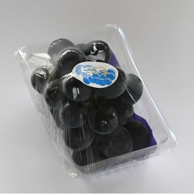 【2026年8月分 先行受付】浜松市 ピオーネ(合わせ房) 約300g×2パック