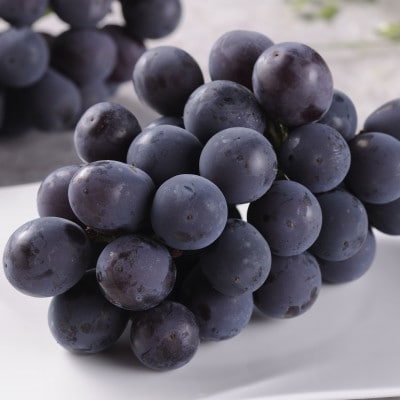 【2026年8月分 先行受付】シャインマスカット&ピオーネ(合わせ房) 300g×各1パック