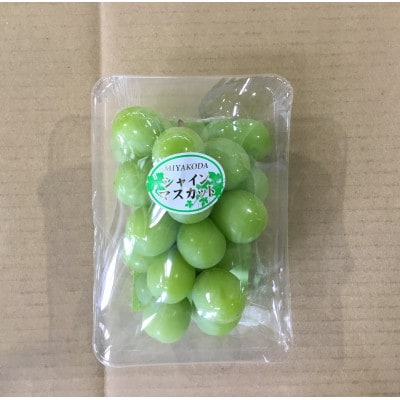 【2026年8月分 先行受付】シャインマスカット&ピオーネ(合わせ房) 300g×各1パック