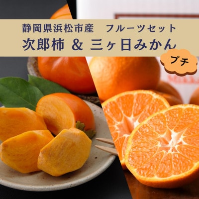 詰合せ 次郎柿と三ヶ日みかんセット プチ (次郎柿 6～7個・三ヶ日みかんMかL 約2kg)