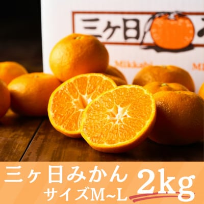 詰合せ 次郎柿と三ヶ日みかんセット プチ (次郎柿 6～7個・三ヶ日みかんMかL 約2kg)