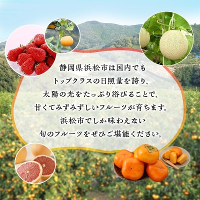 詰合せ 次郎柿と三ヶ日みかんセット プチ (次郎柿 6～7個・三ヶ日みかんMかL 約2kg)