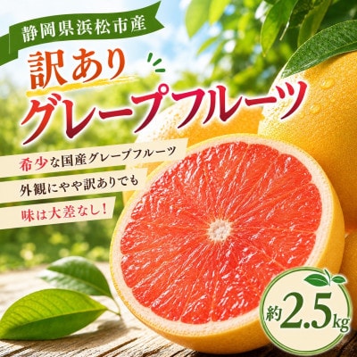 【訳あり】国産グレープフルーツ2.5kg(静岡県浜松市産)