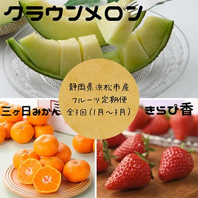 【発送月固定定期便】静岡県浜松市のフルーツ定期便 全3回