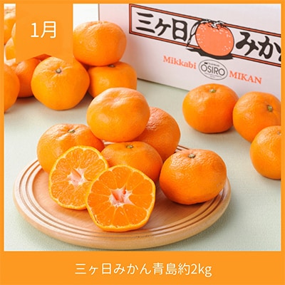 【発送月固定定期便】静岡県浜松市のフルーツ定期便 全3回