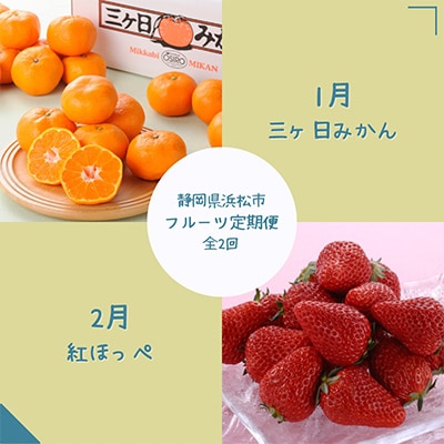 【発送月固定定期便】静岡県浜松市のフルーツ定期便 全2回