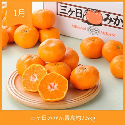 【発送月固定定期便】静岡県浜松市のフルーツ定期便 全2回
