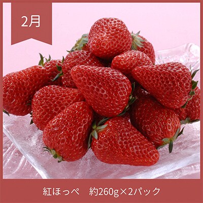 【発送月固定定期便】静岡県浜松市のフルーツ定期便 全2回