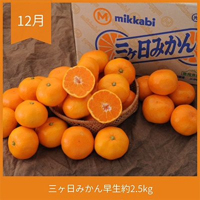 【発送月固定定期便】静岡県浜松市のフルーツ定期便 全3回