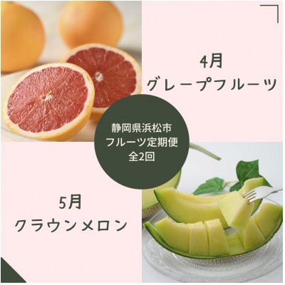 【発送月固定定期便】静岡県浜松市のフルーツ定期便 全2回
