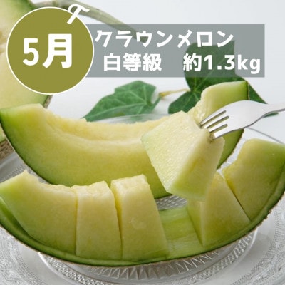 【発送月固定定期便】静岡県浜松市のフルーツ定期便 全2回