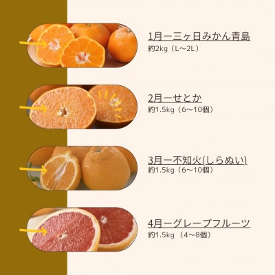【発送月固定定期便】<2026年1月～4月発送>静岡県浜松市の柑橘定期便 全4回