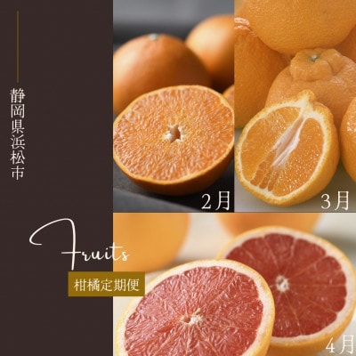 【発送月固定定期便】<2026年2月～4月発送>静岡県浜松市の柑橘定期便 全3回