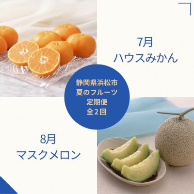 【発送月固定定期便】<2025年7月より順次発送>静岡県浜松市『夏』のフルーツ定期便 全2回