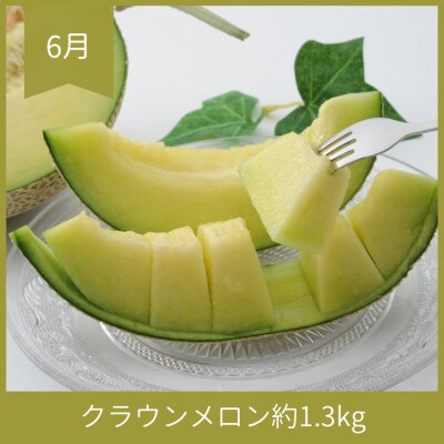 【発送月固定定期便】<2025年6月より順次発送>静岡県浜松市『夏』のフルーツ定期便 全3回