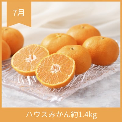 【発送月固定定期便】<2025年6月より順次発送>静岡県浜松市『夏』のフルーツ定期便 全3回