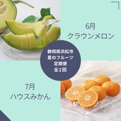 【発送月固定定期便】<2025年6月より順次発送>静岡県浜松市『夏』のフルーツ定期便 全2回