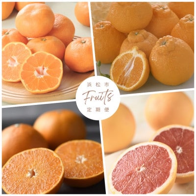 【発送月固定定期便】<2026年1月～4月発送>静岡県浜松市の柑橘全4回