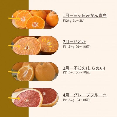 【発送月固定定期便】<2026年1月～4月発送>静岡県浜松市の柑橘全4回