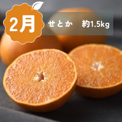 【発送月固定定期便】<2026年2月～4月発送>静岡県浜松市の柑橘全3回