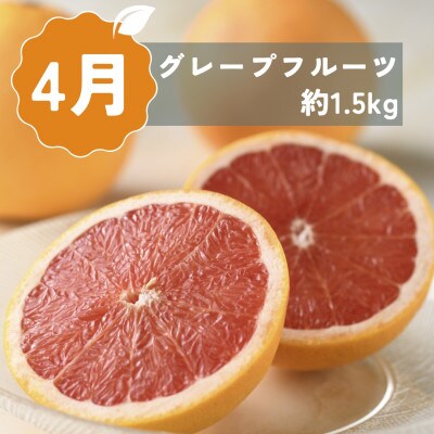 【発送月固定定期便】<2026年2月～4月発送>静岡県浜松市の柑橘全3回