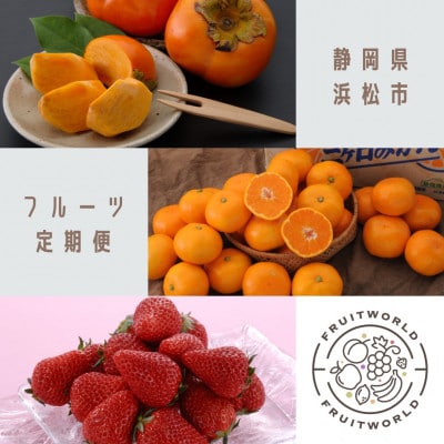 【発送月固定定期便】静岡県浜松市のフルーツ(次郎柿・三ヶ日みかん早生・紅ほっぺ)定期便全3回