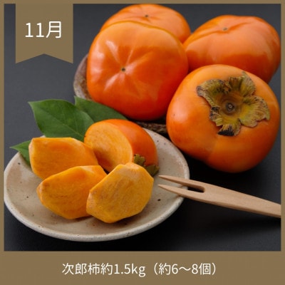 【発送月固定定期便】静岡県浜松市のフルーツ(次郎柿・三ヶ日みかん早生・紅ほっぺ)定期便全3回