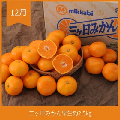 【発送月固定定期便】静岡県浜松市のフルーツ(次郎柿・三ヶ日みかん早生・紅ほっぺ)定期便全3回