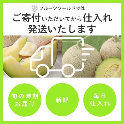 【発送月固定定期便】クラウンメロン1.3kg×1個(白等級)全12回