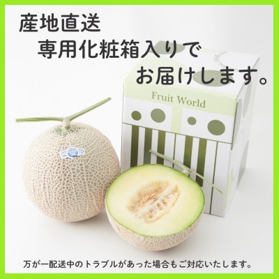 【発送月固定定期便】クラウンメロン1.3kg×1個(白等級)全12回